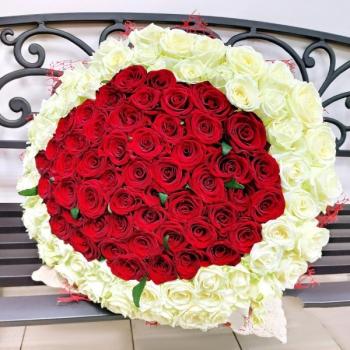 Букет 101 красно-белая роза артикул - 219675