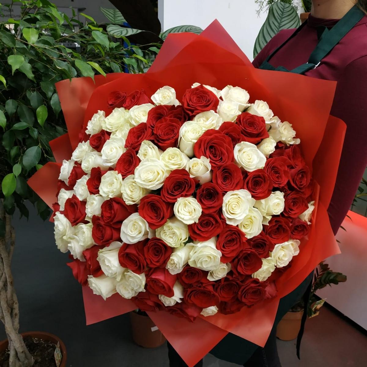 Букет из 101 розы (красные и белые розы) articul: 128175