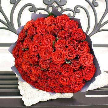 Букет Красная роза Эквадор 51 шт №  223425
